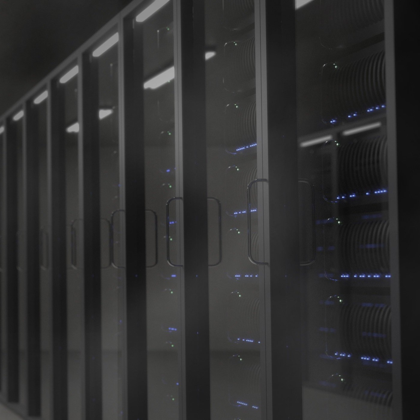 Technology & IT Services